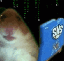 Dein GIF